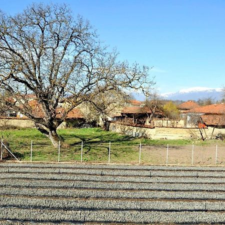 Vila V S. Gabarevo, Dolinata Na Rozite. Villa Dış mekan fotoğraf