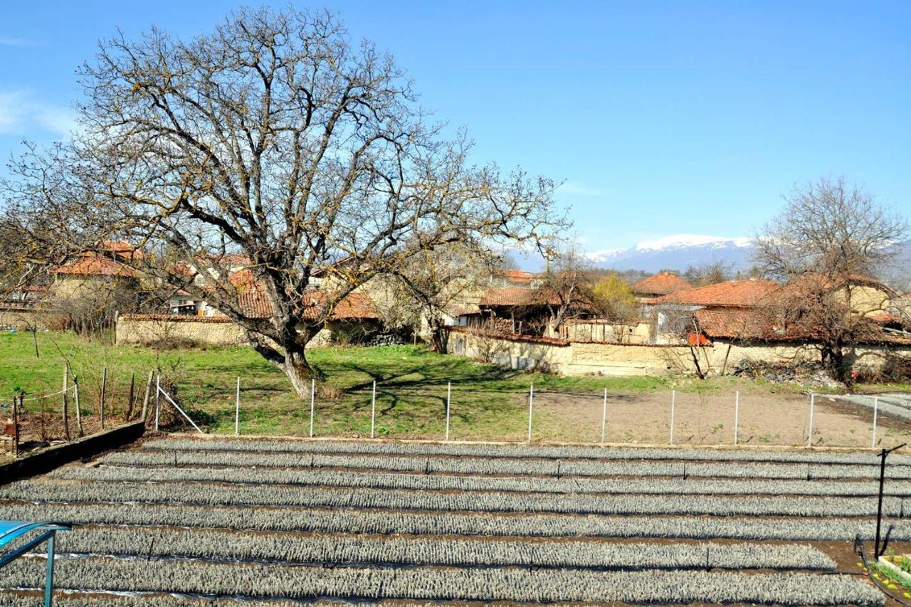 Vila V S. Gabarevo, Dolinata Na Rozite. Villa Dış mekan fotoğraf